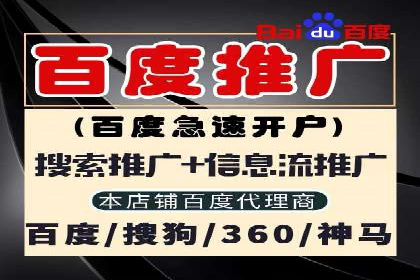 解析SEM推广代运营的五大成功要素